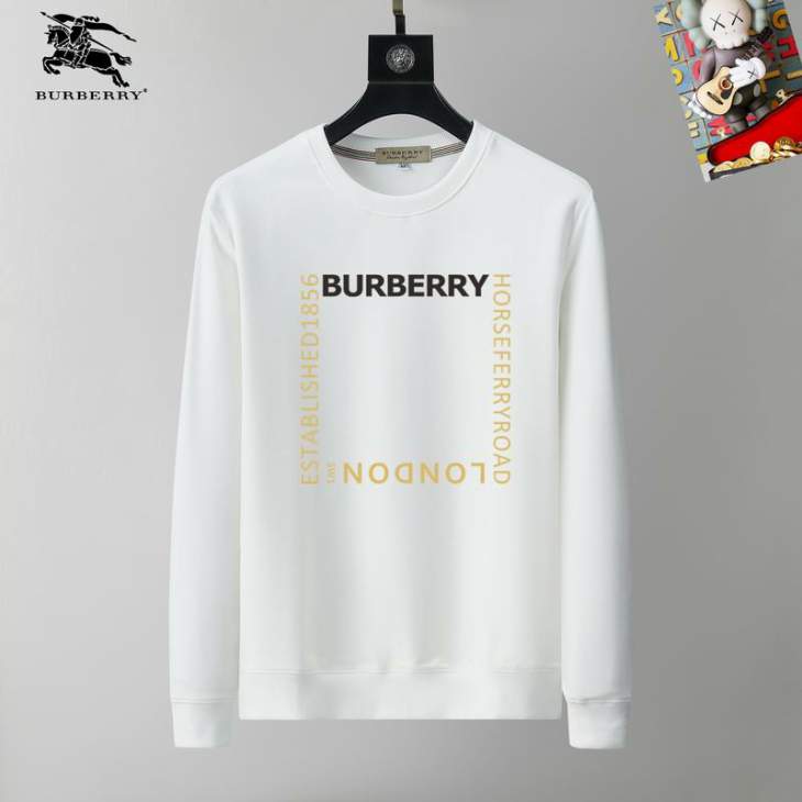 Picture of Burberry Sweatshirt _SKUBurberryM-3XL25tr21530770
